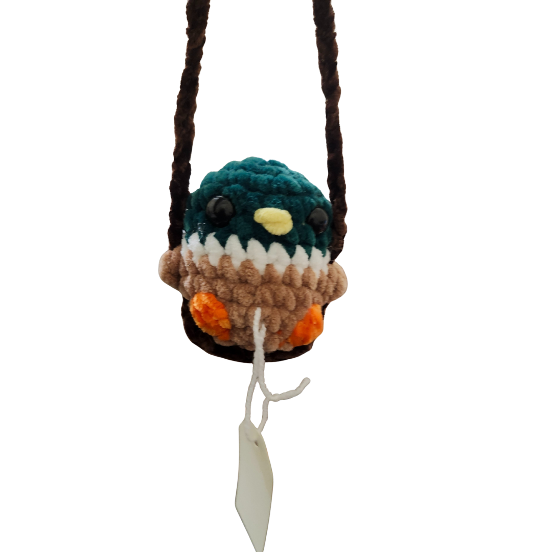 Mallard Bird on a Swing