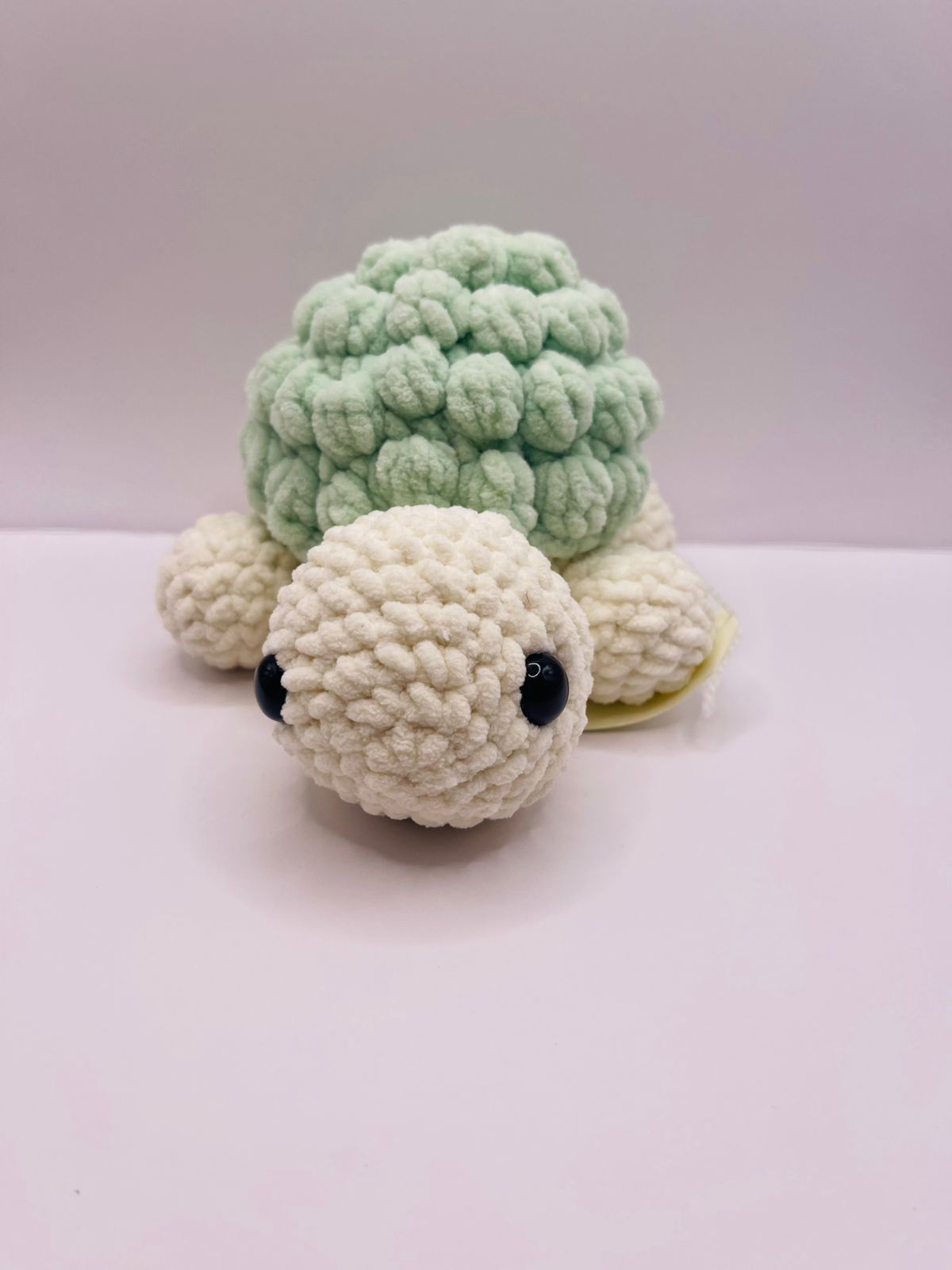 Bubbles the Turtle