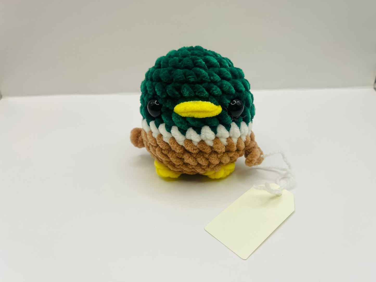 Cute Mallard Bird