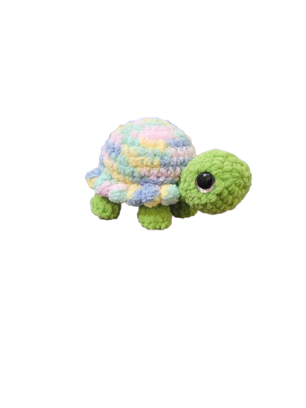Ana the Tortoise
