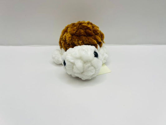 Mini Turtle
